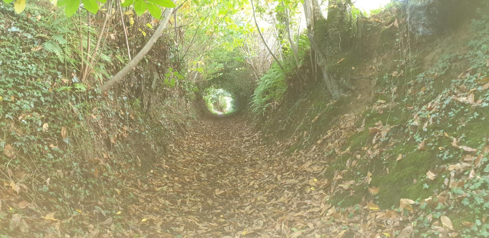 Chambre A La Campagne Mezieres-Sur-Couesnon Exterior foto